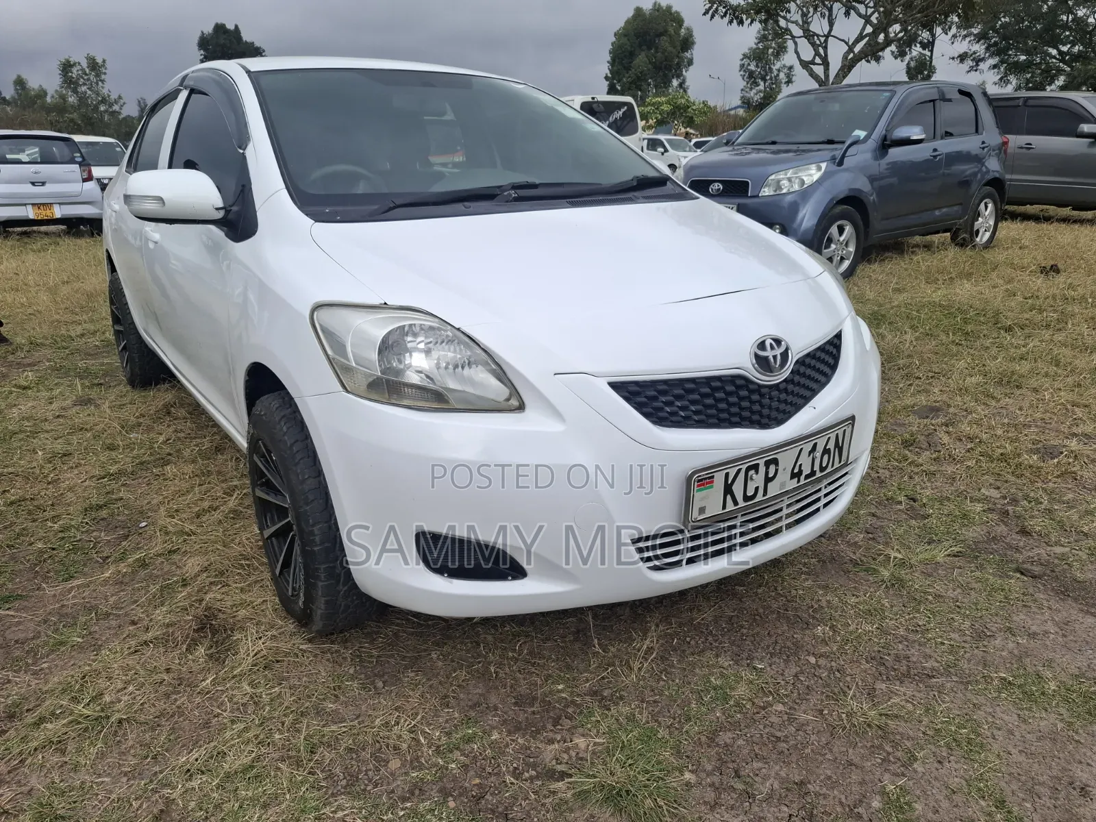 Toyota Belta 2011 Pearl