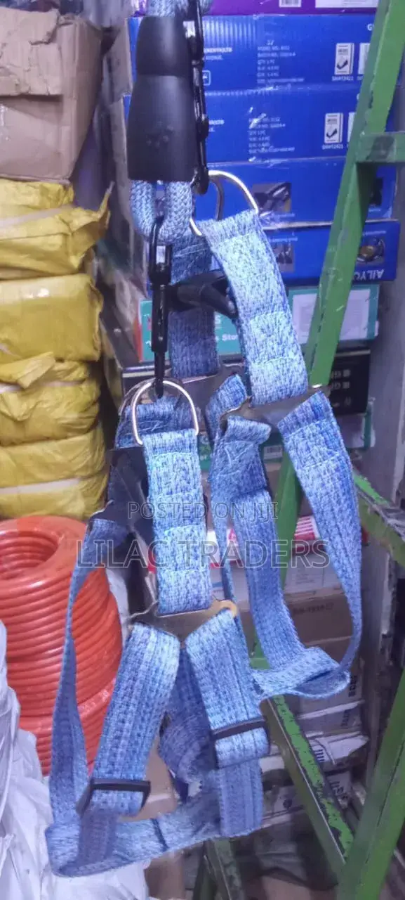 Strong and Durable Dog Leash With Harness
