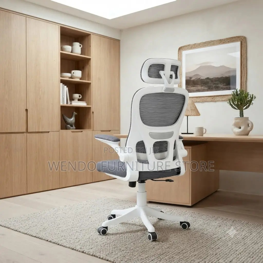 Office Chairs; Home Office Orthopedic Chairs ( in Black and White)