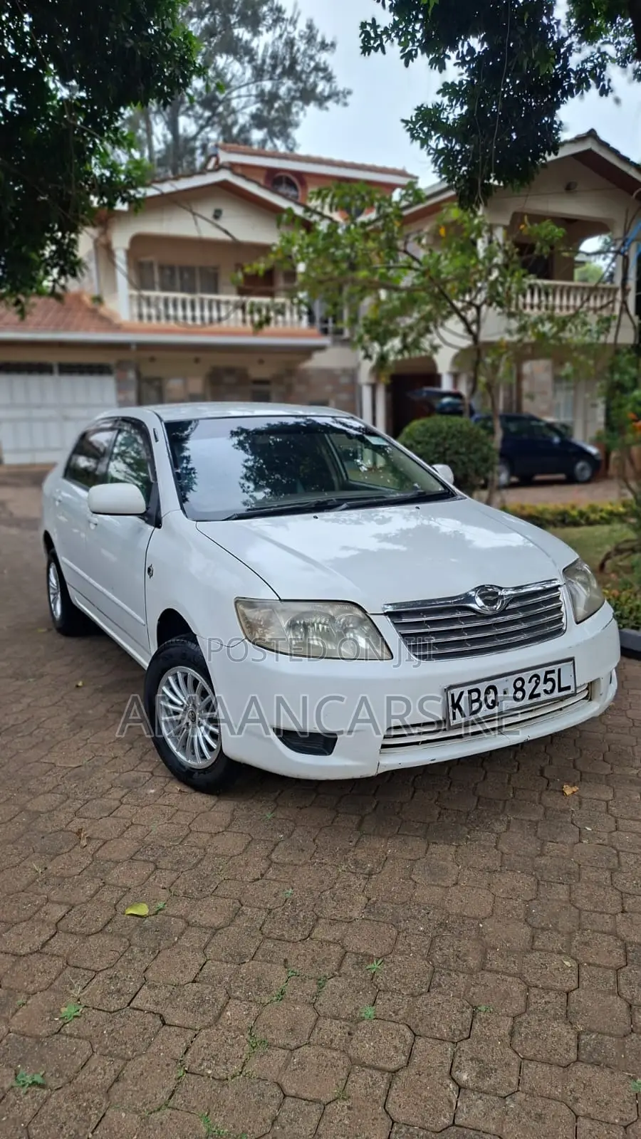 Toyota Corolla 2004 White