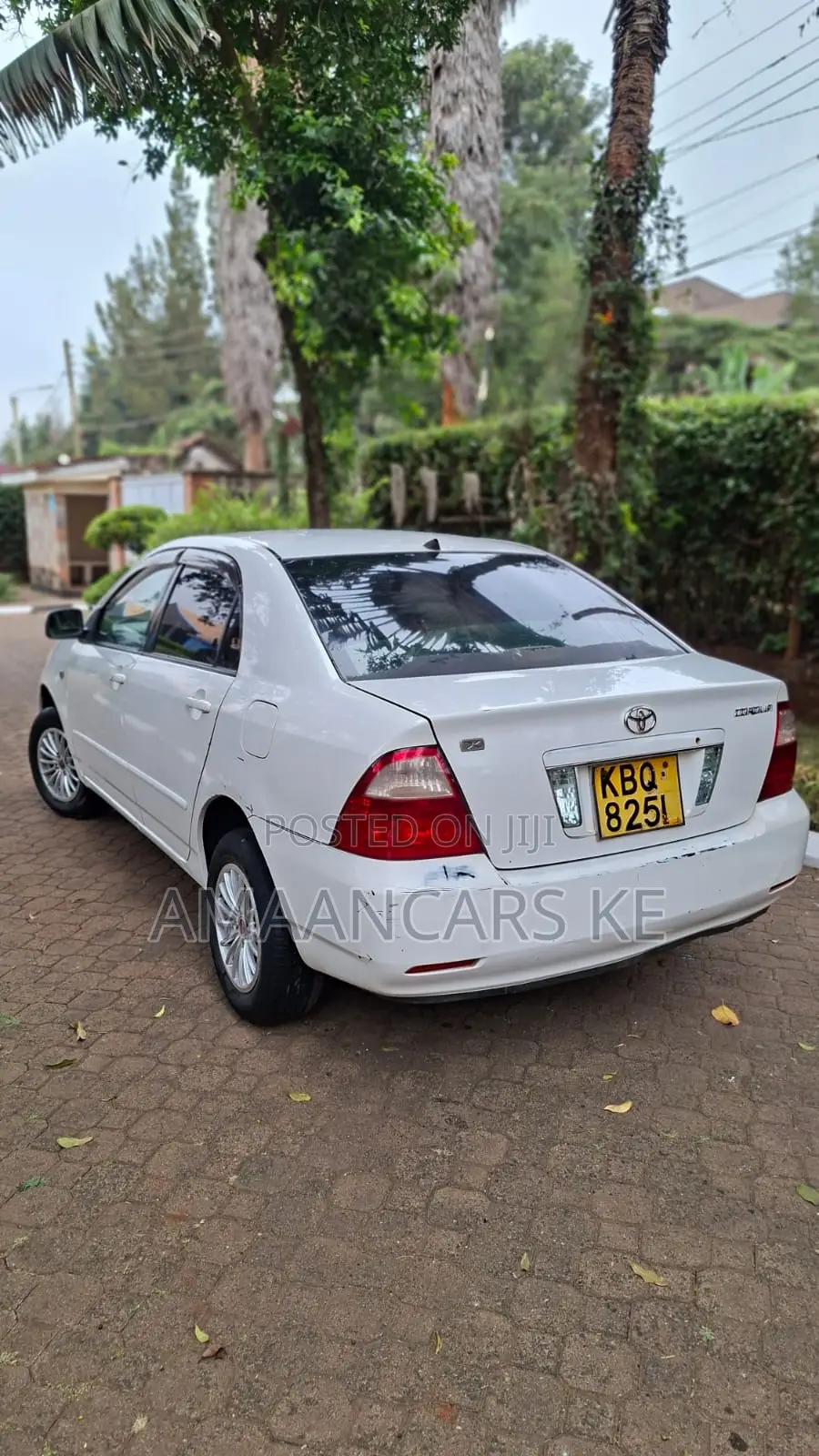 Toyota Corolla 2004 White
