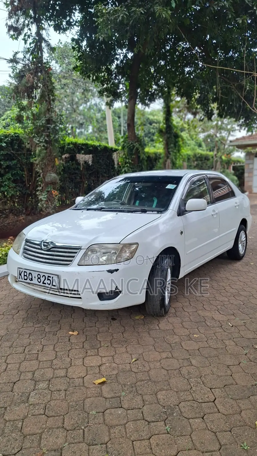 Toyota Corolla 2004 White