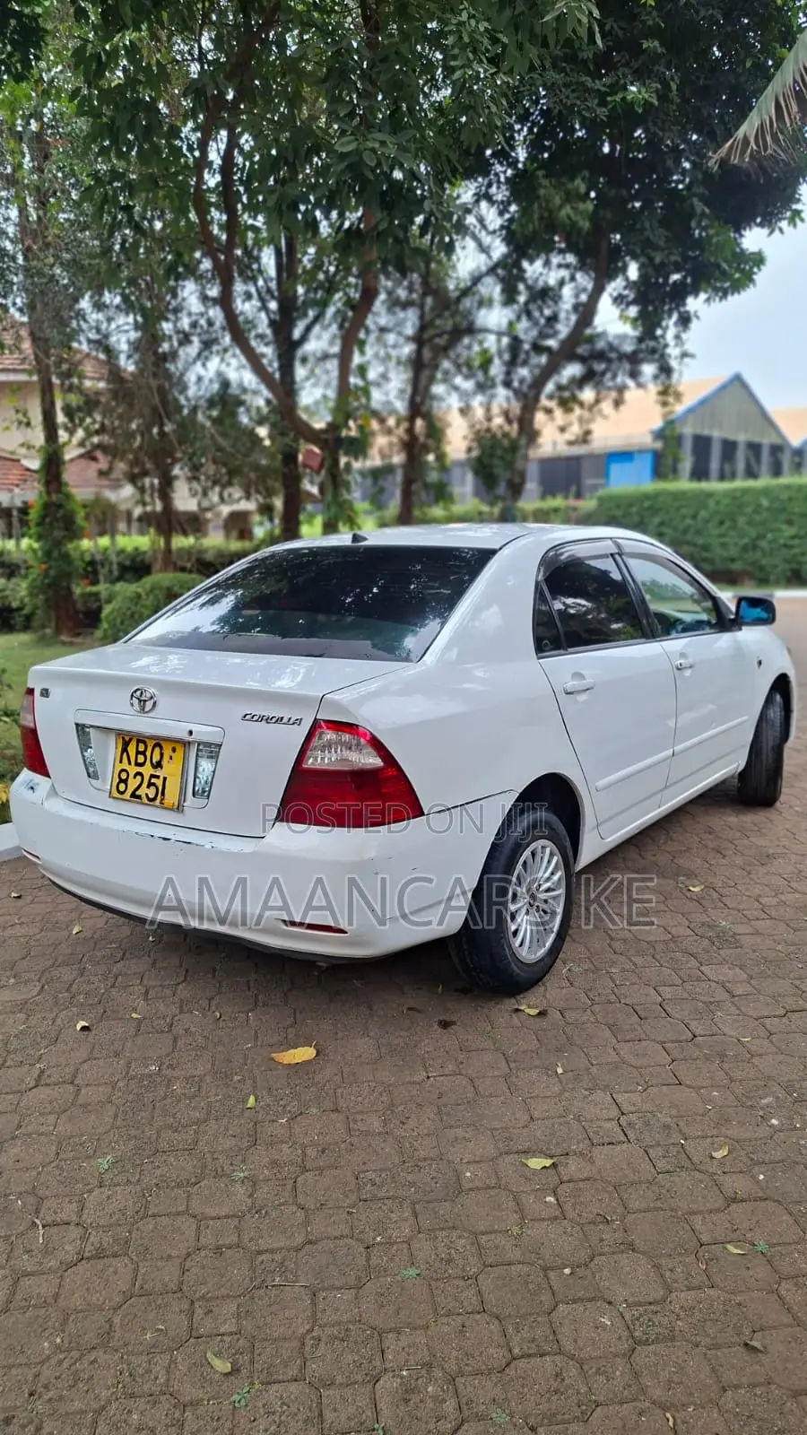 Toyota Corolla 2004 White