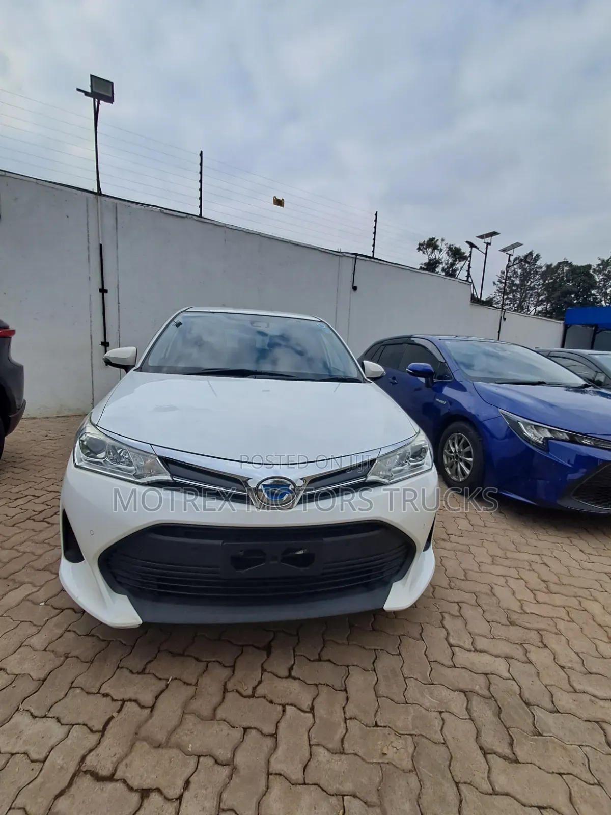 Toyota Corolla Fielder 2019 White