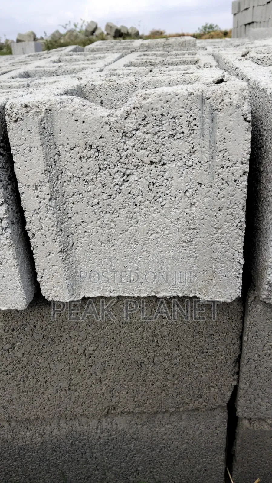 Strong 9 Inch Building Bricks