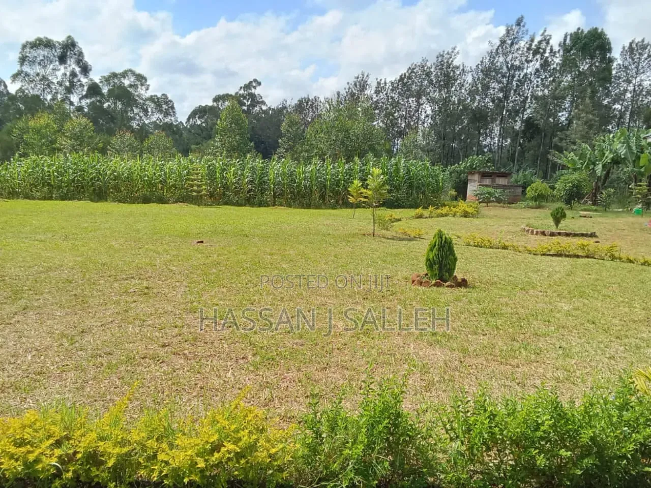 1bdrm Bungalow in Shitao, Isukha Central for sale