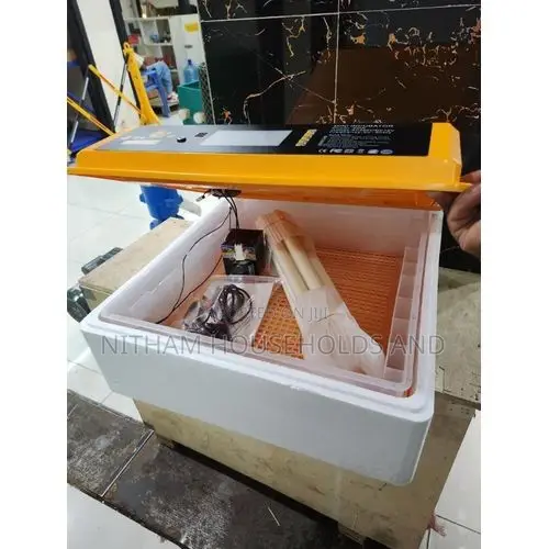 64 Eggs Incubator