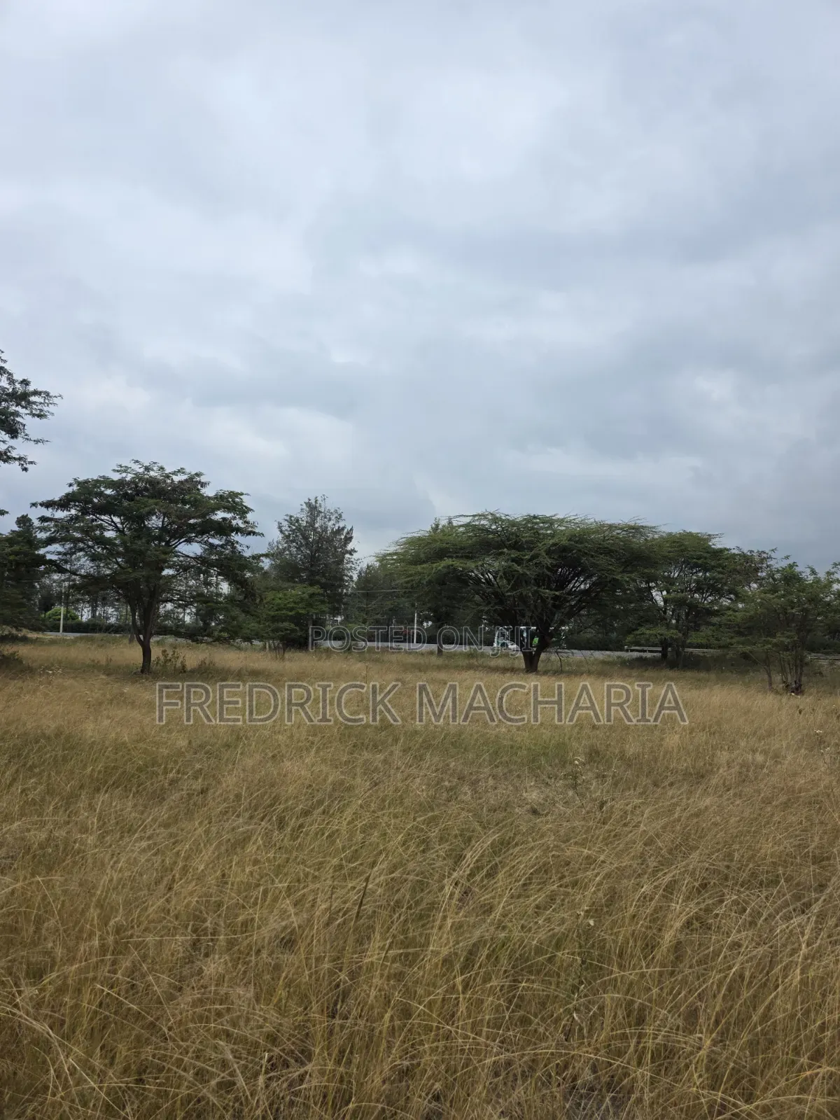 2 Acres for Sale at Kenol