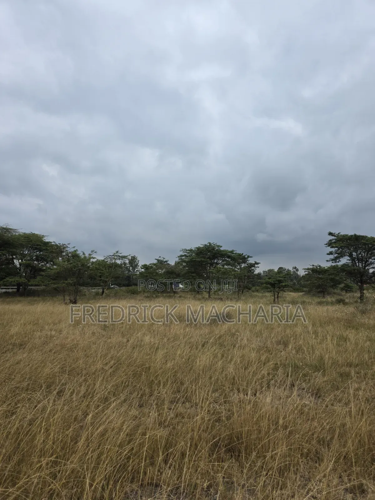 2 Acres for Sale at Kenol