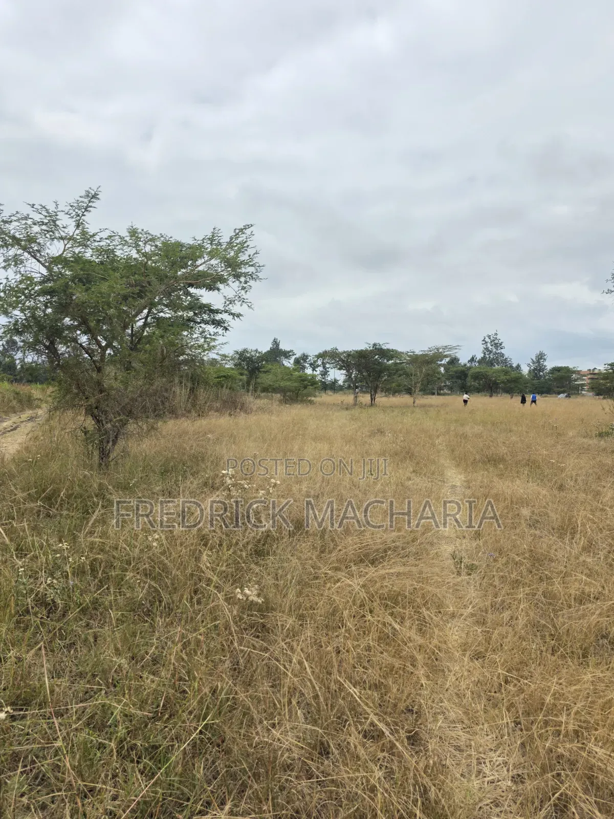 2 Acres for Sale at Kenol