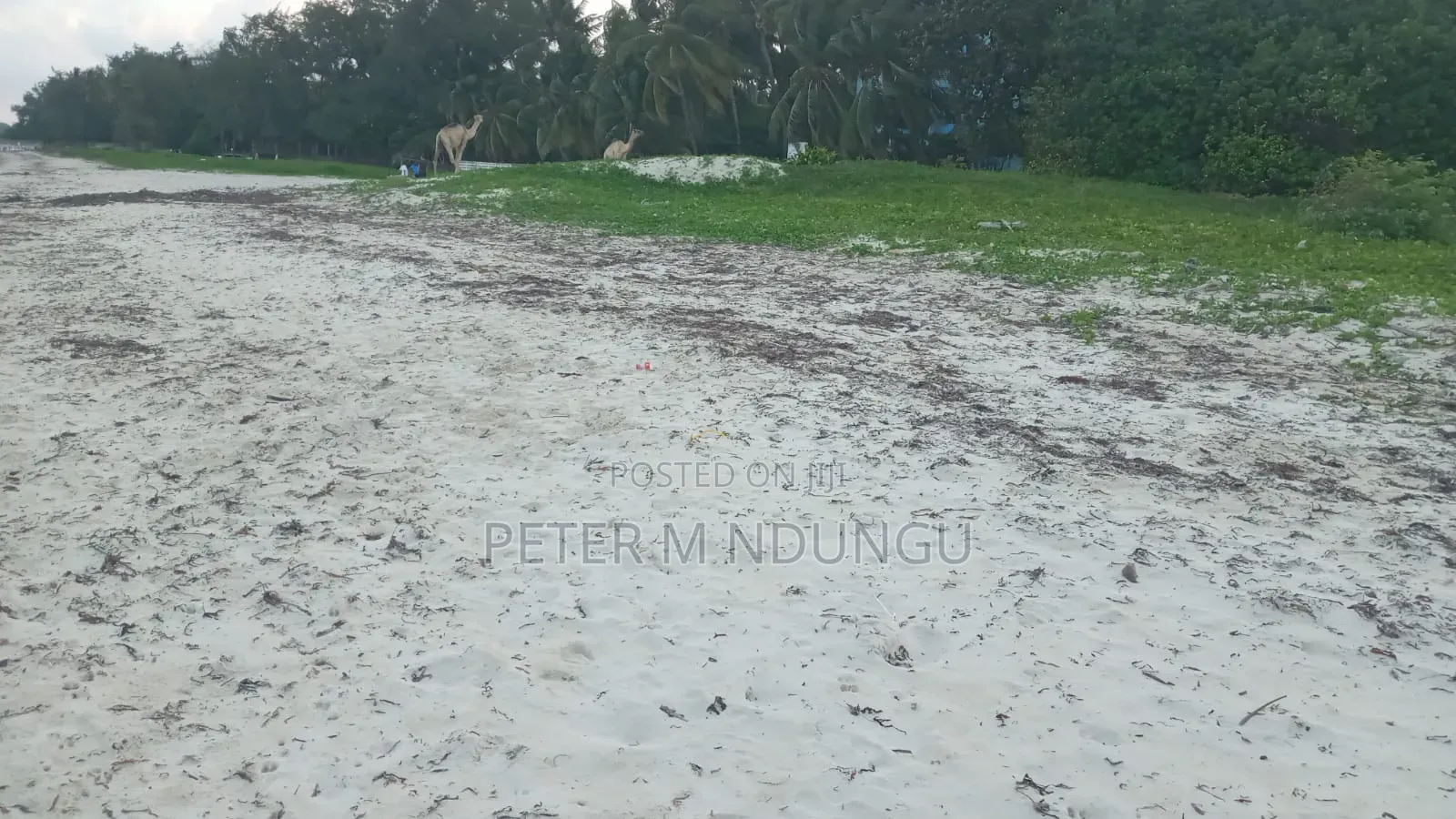 Nyali Mombasa-White Sandy Beach, 1 Acre