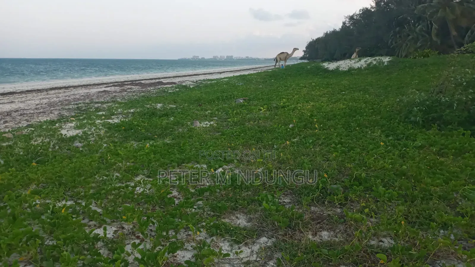 Nyali Mombasa-White Sandy Beach, 1 Acre