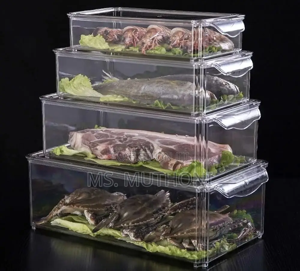 4 PCs Premium, Crystal-Clear Storage Bins