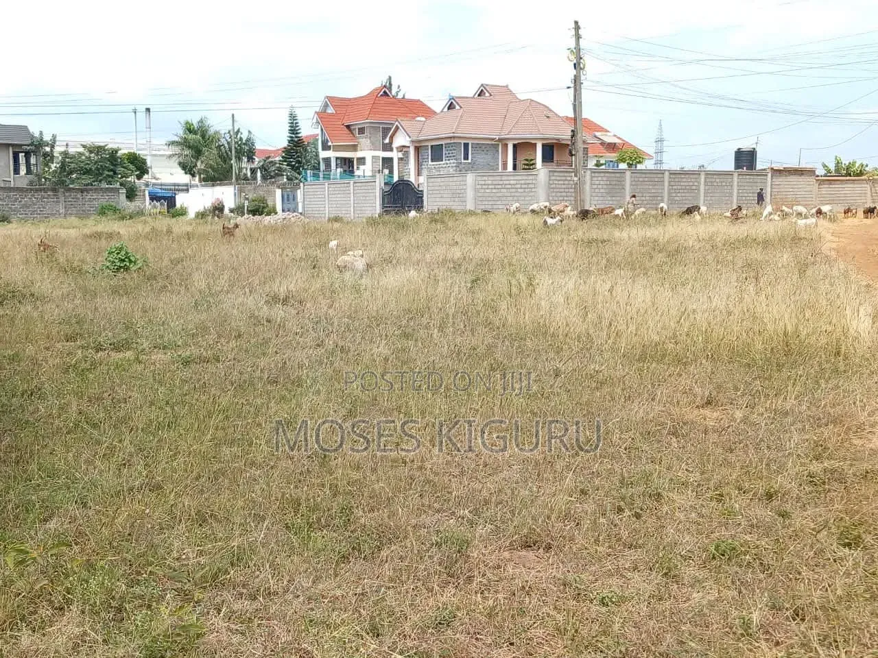 Tola Estate, Behind Mangu High School, 50x100 Plots.