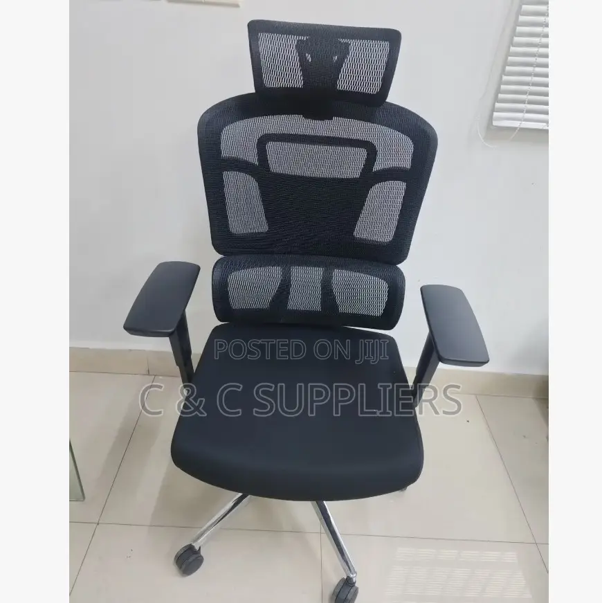 Orthopedic Adjustable Boss Mesh Chair.