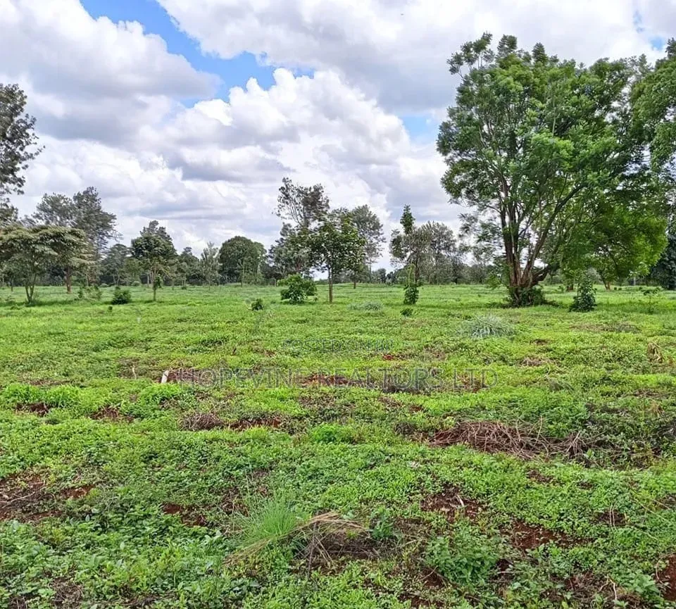 Land for Sale in Tilisi ( 4 and 1/2 Acres)