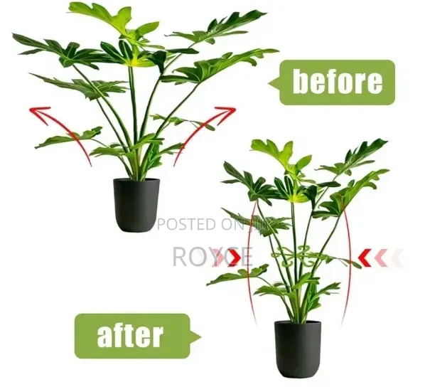 Plant Stem Gatherers -10pcs