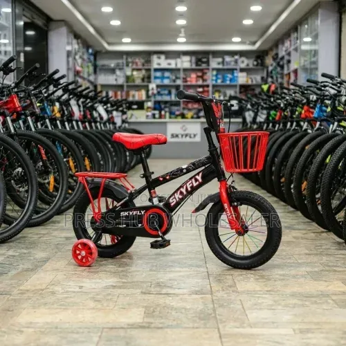 Skyfly Premium Kids BMX Bike Size 12– Perfect First Bicycle for Kids