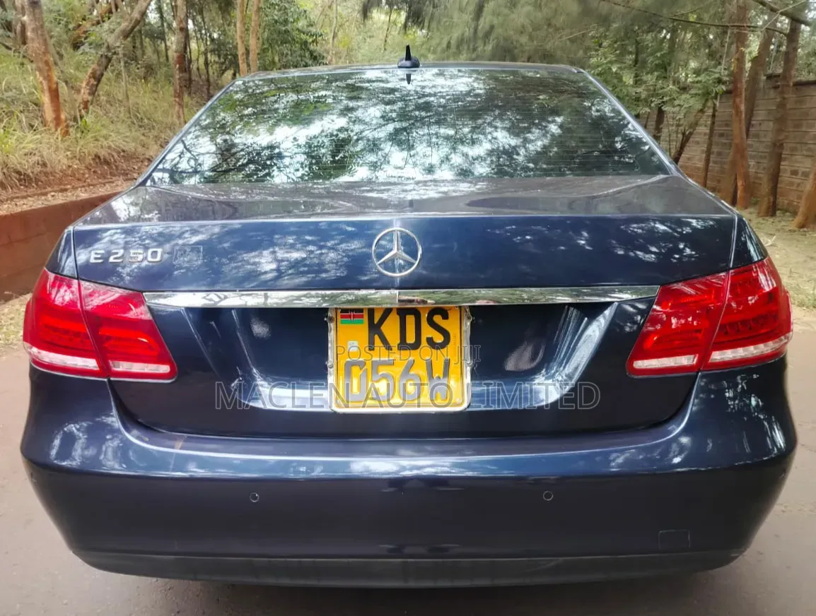 Mercedes-Benz E250 SV Premium 2014 Blue