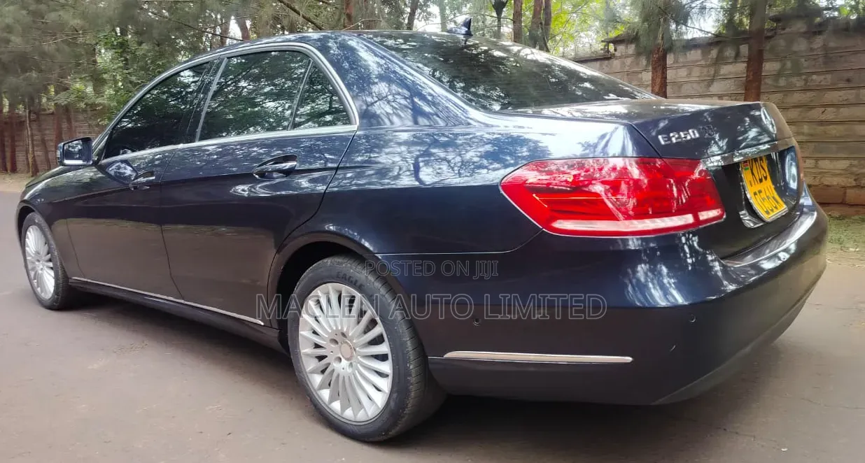 Mercedes-Benz E250 SV Premium 2014 Blue