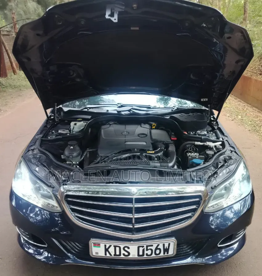 Mercedes-Benz E250 SV Premium 2014 Blue