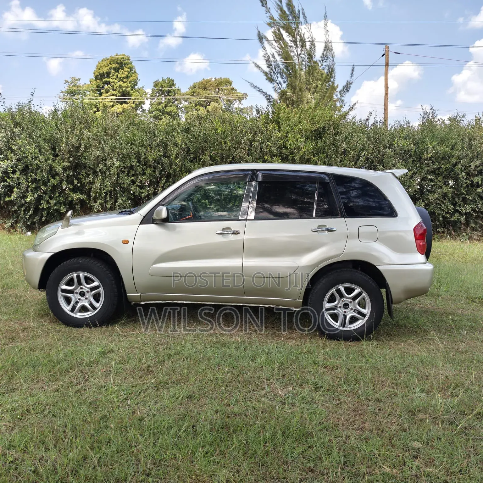 Toyota RAV4 2005 Gold