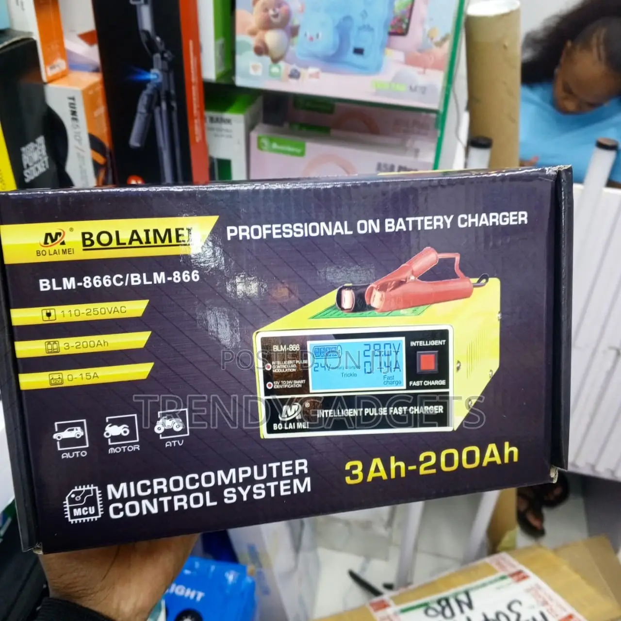 Bolaimei 12V 24V Automatic Battery Charger With Pulse Repair