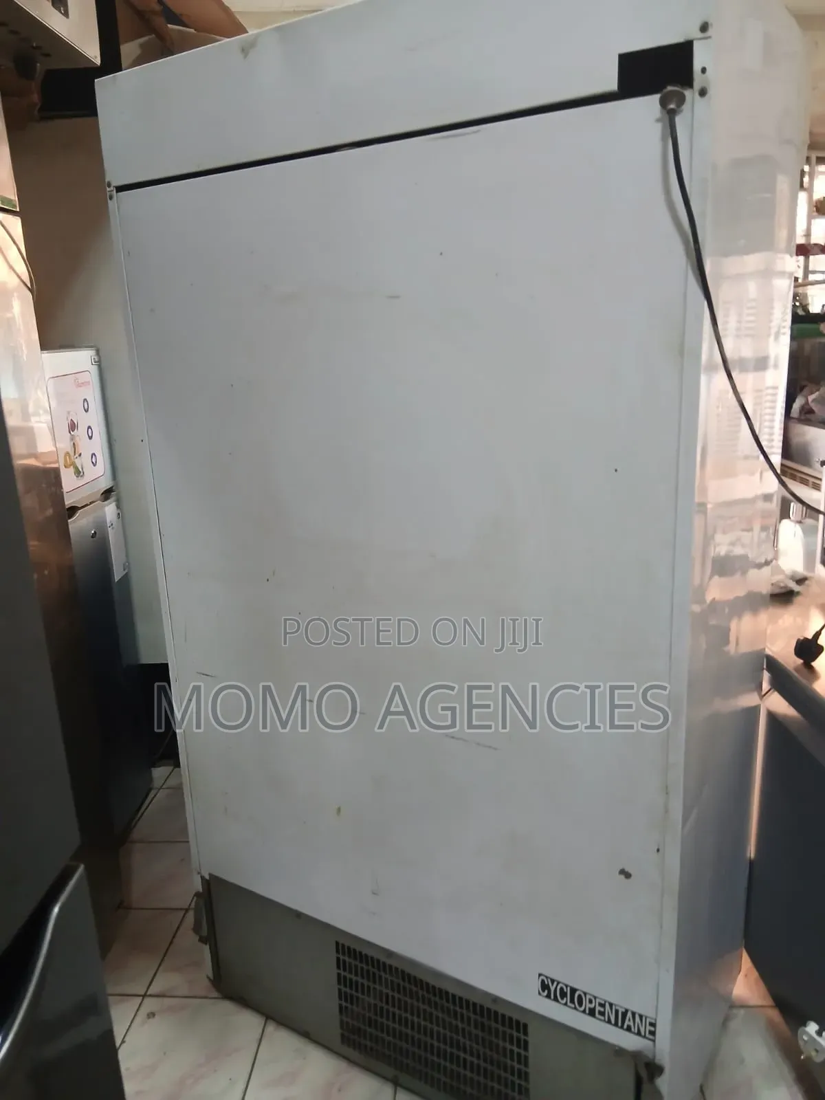 2 Door Showcase Chiller