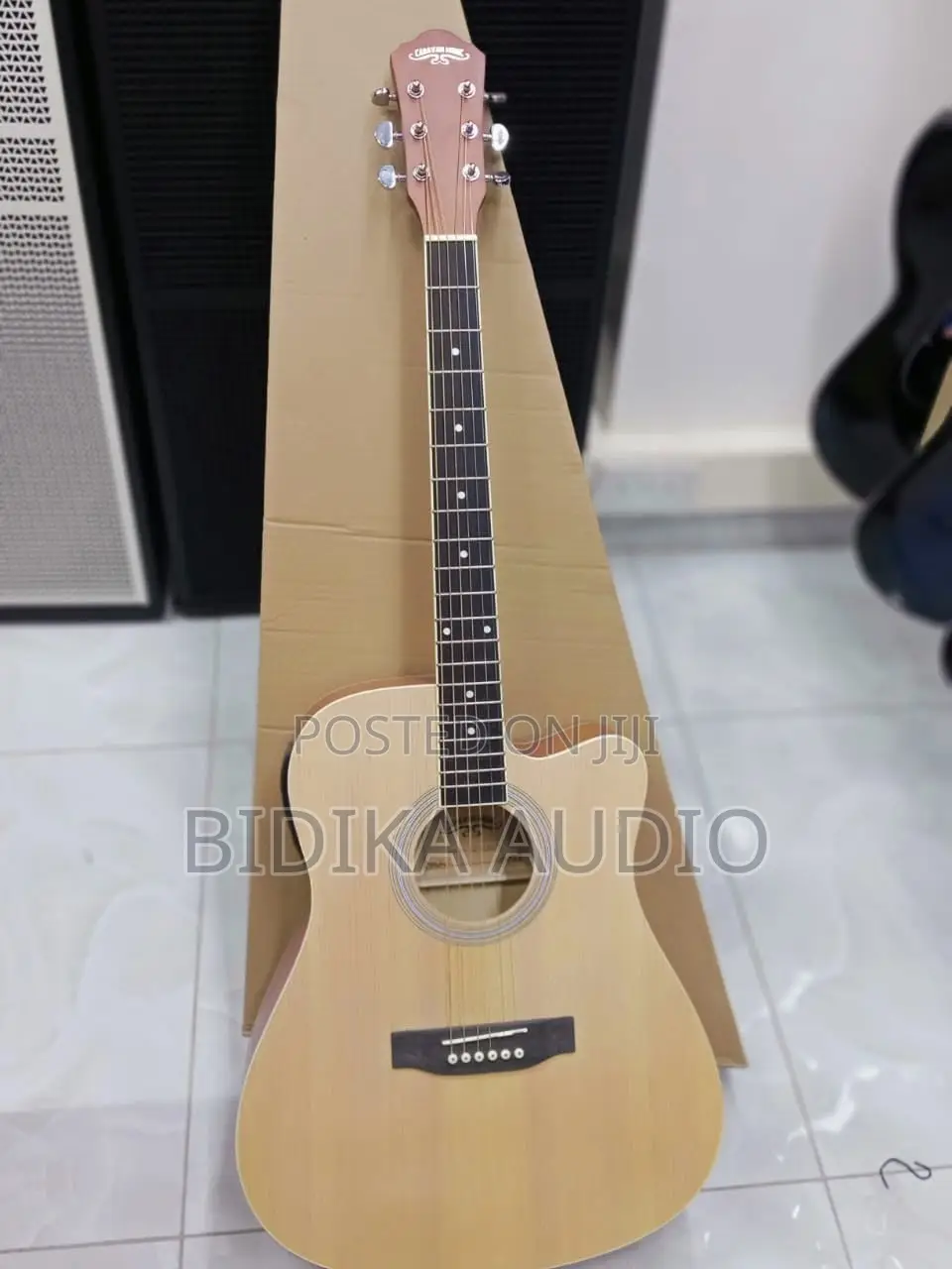 Acoustic-Electric Guitar With a Venetian Cutaway