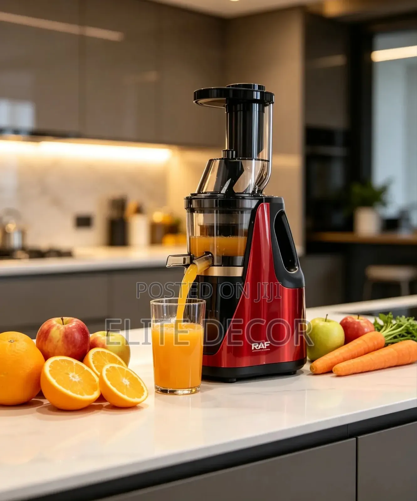 RAF R.2831 250W Slow Juicer – 400ml Cold Press Juice Extractor