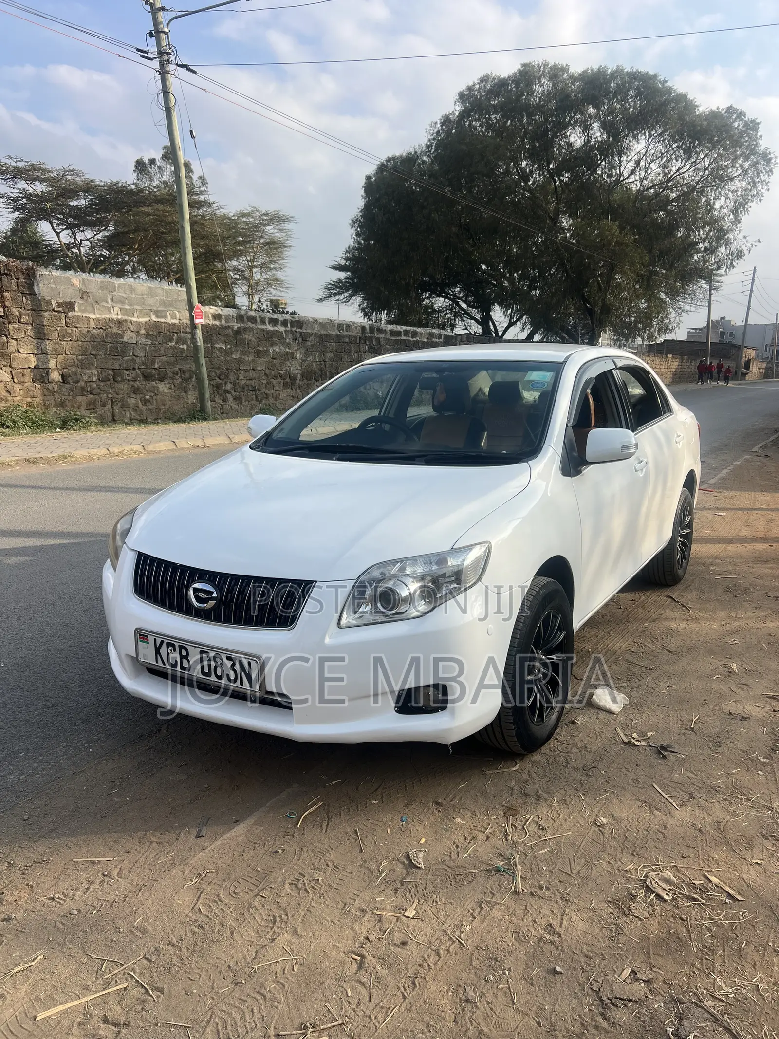 Toyota Axio 2009 Pearl
