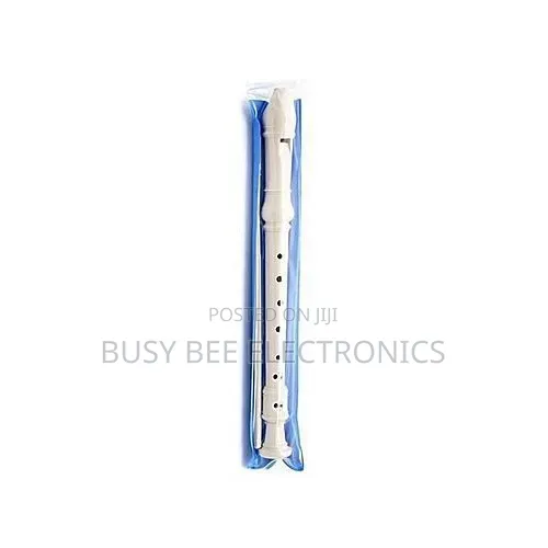 Flute Recorder With Fingering Chart