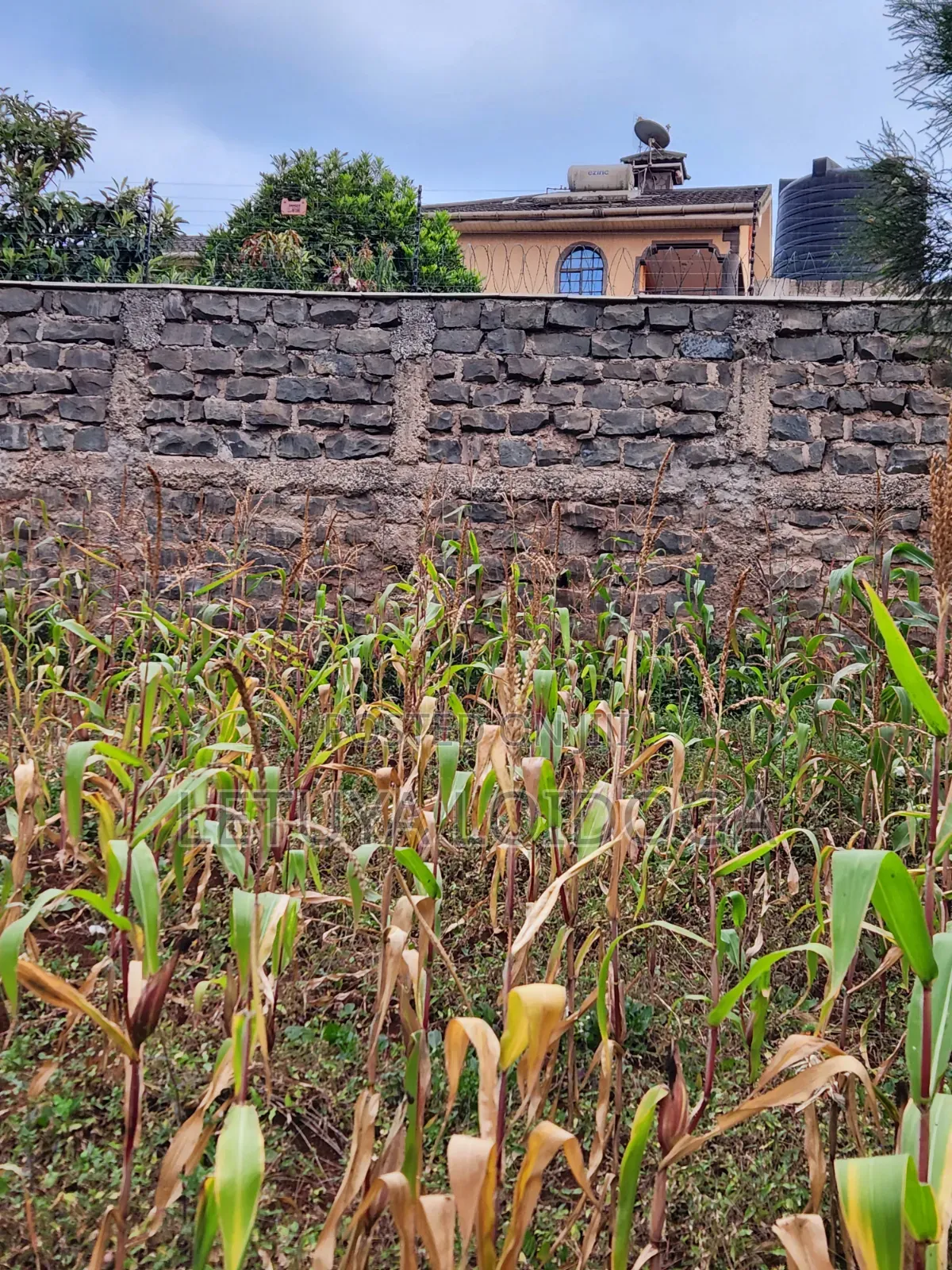 1⁄8 Acre Plots Ngong-Lemiso Rd(Silicon Valley)