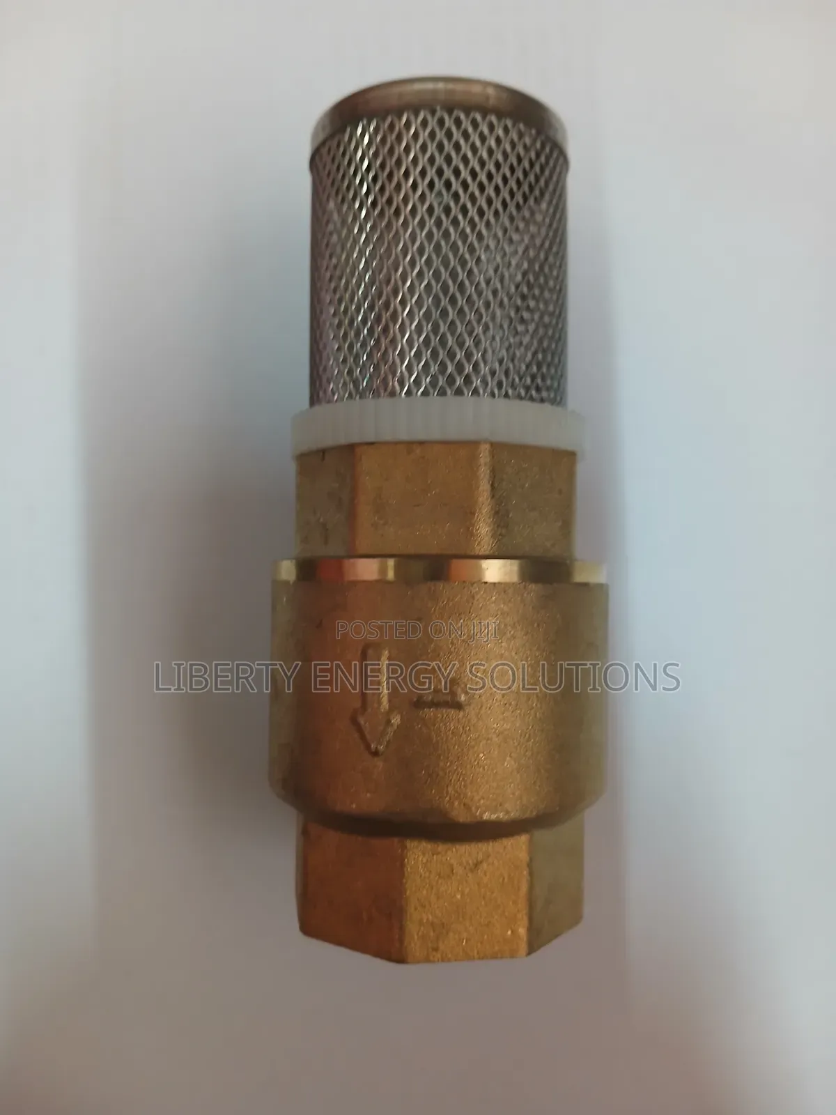Foot Valve 1"