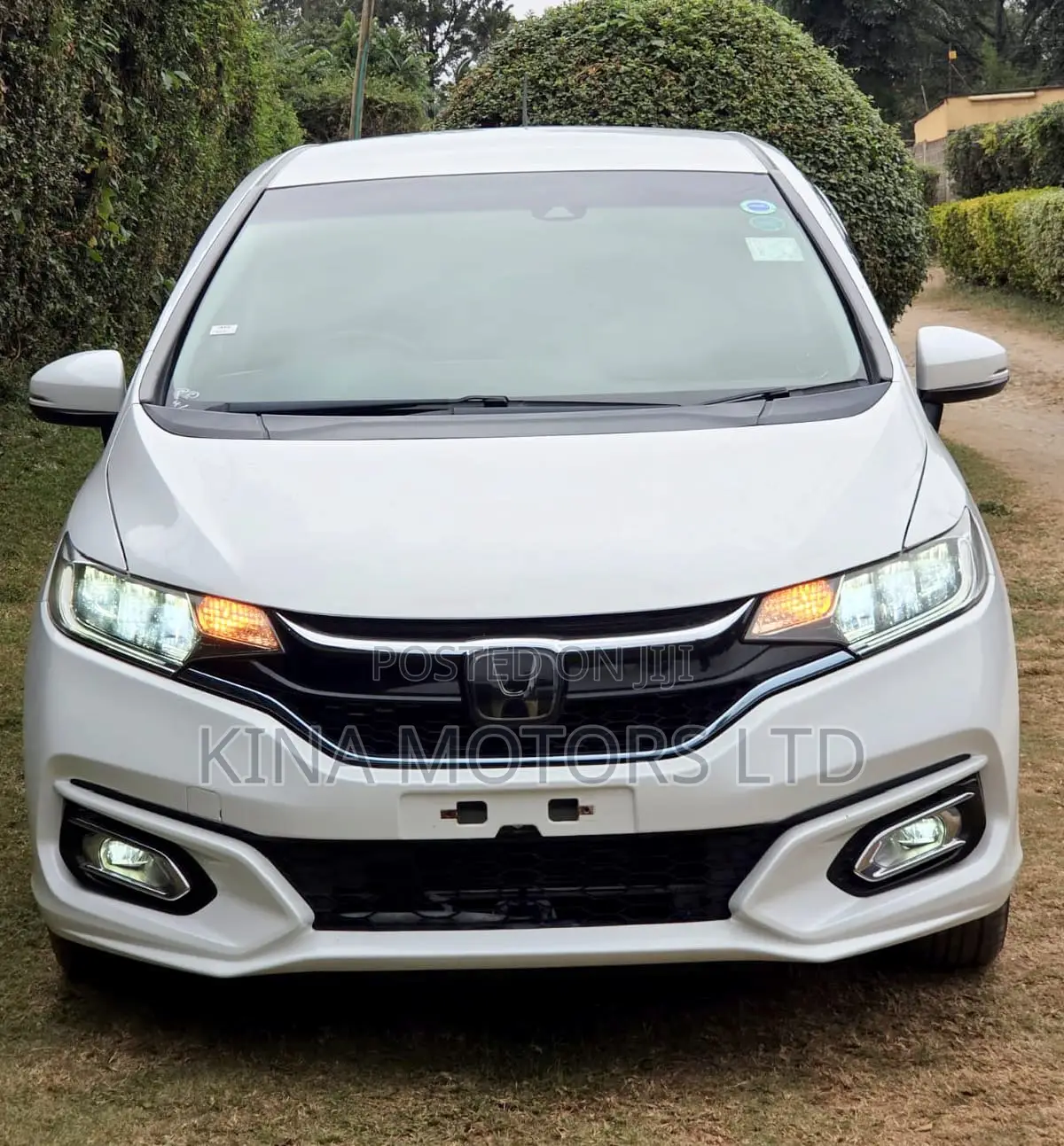Honda Fit 2019 Pearl