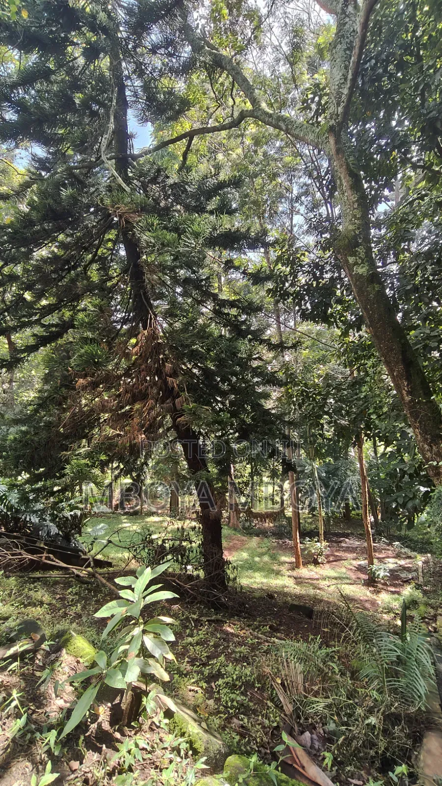 0.9 Acre Commercial Land for Sale in Ngong Road