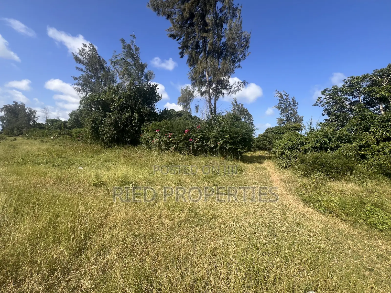 4 Acres in Malindi, Kilifi on the Tarmac for Sale