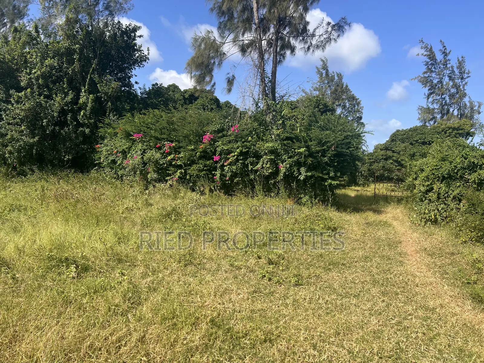 4 Acres in Malindi, Kilifi on the Tarmac for Sale