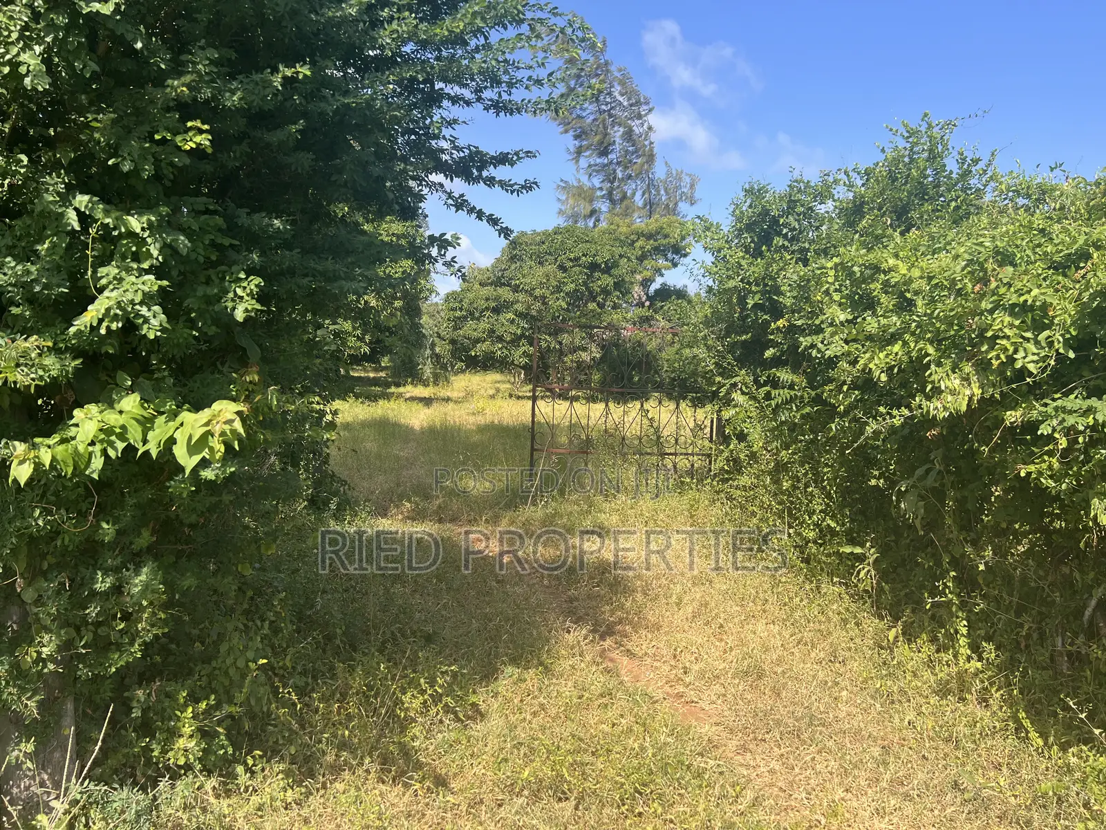 4 Acres in Malindi, Kilifi on the Tarmac for Sale