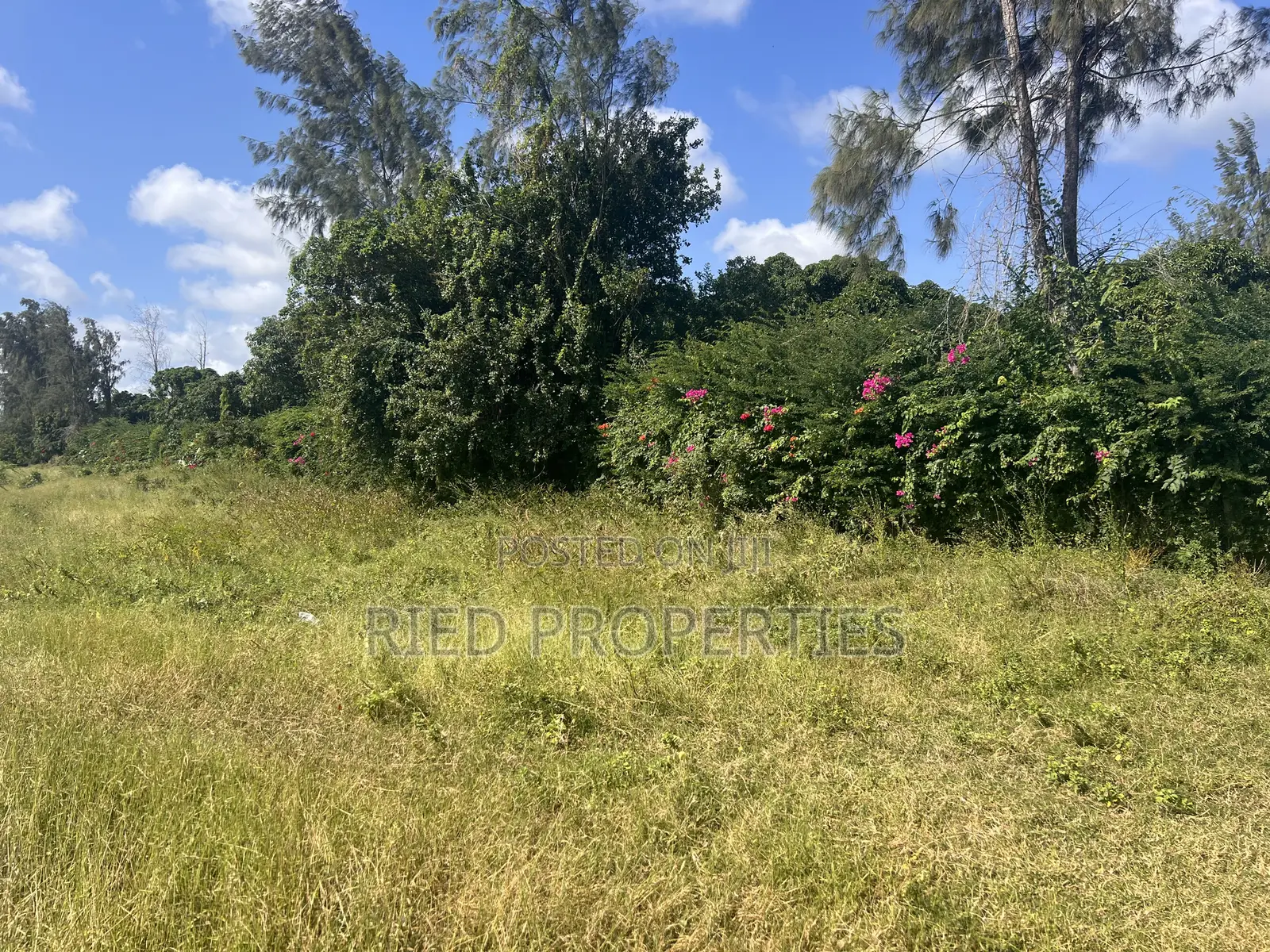 4 Acres in Malindi, Kilifi on the Tarmac for Sale