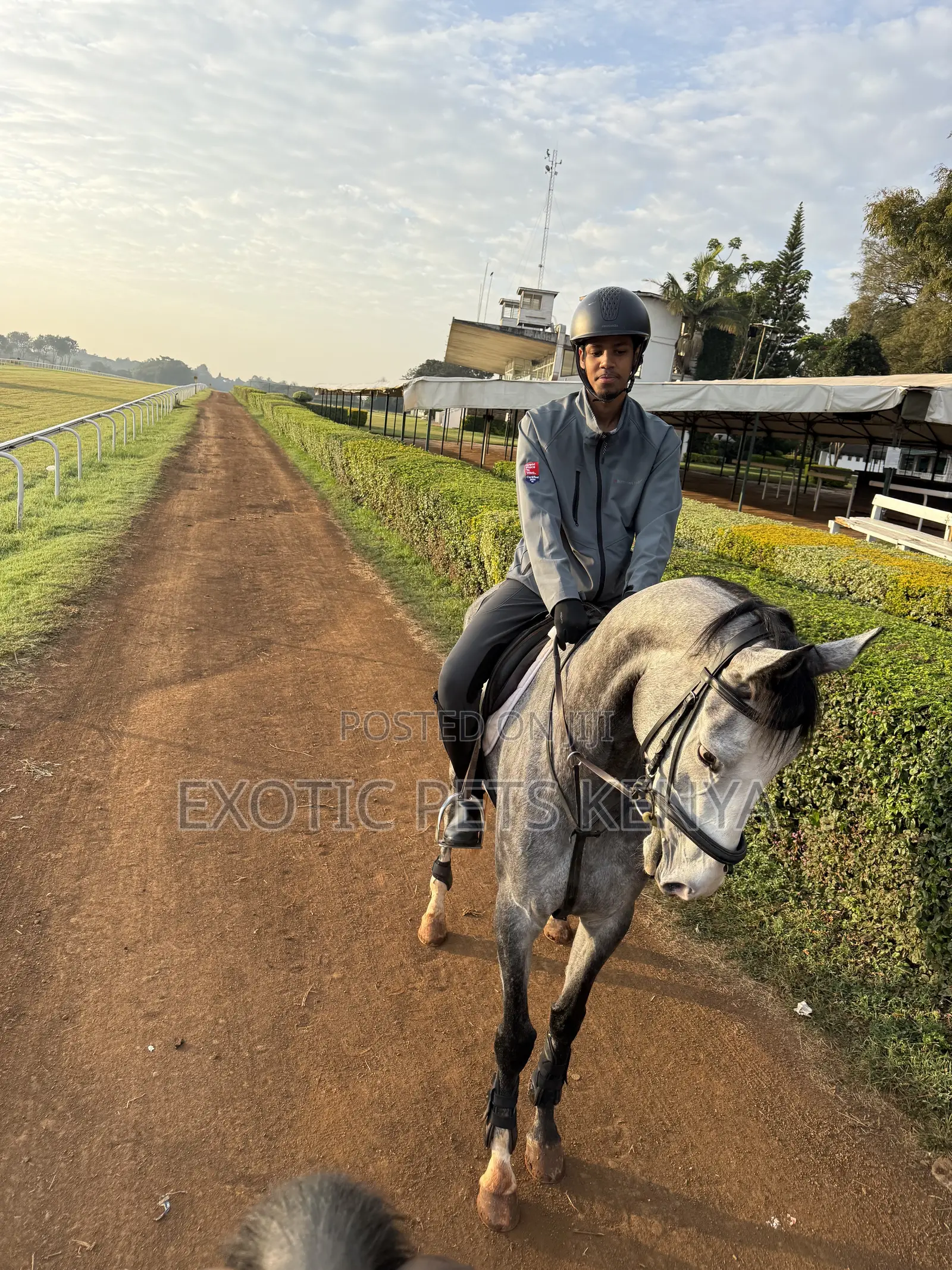 Horse Riding