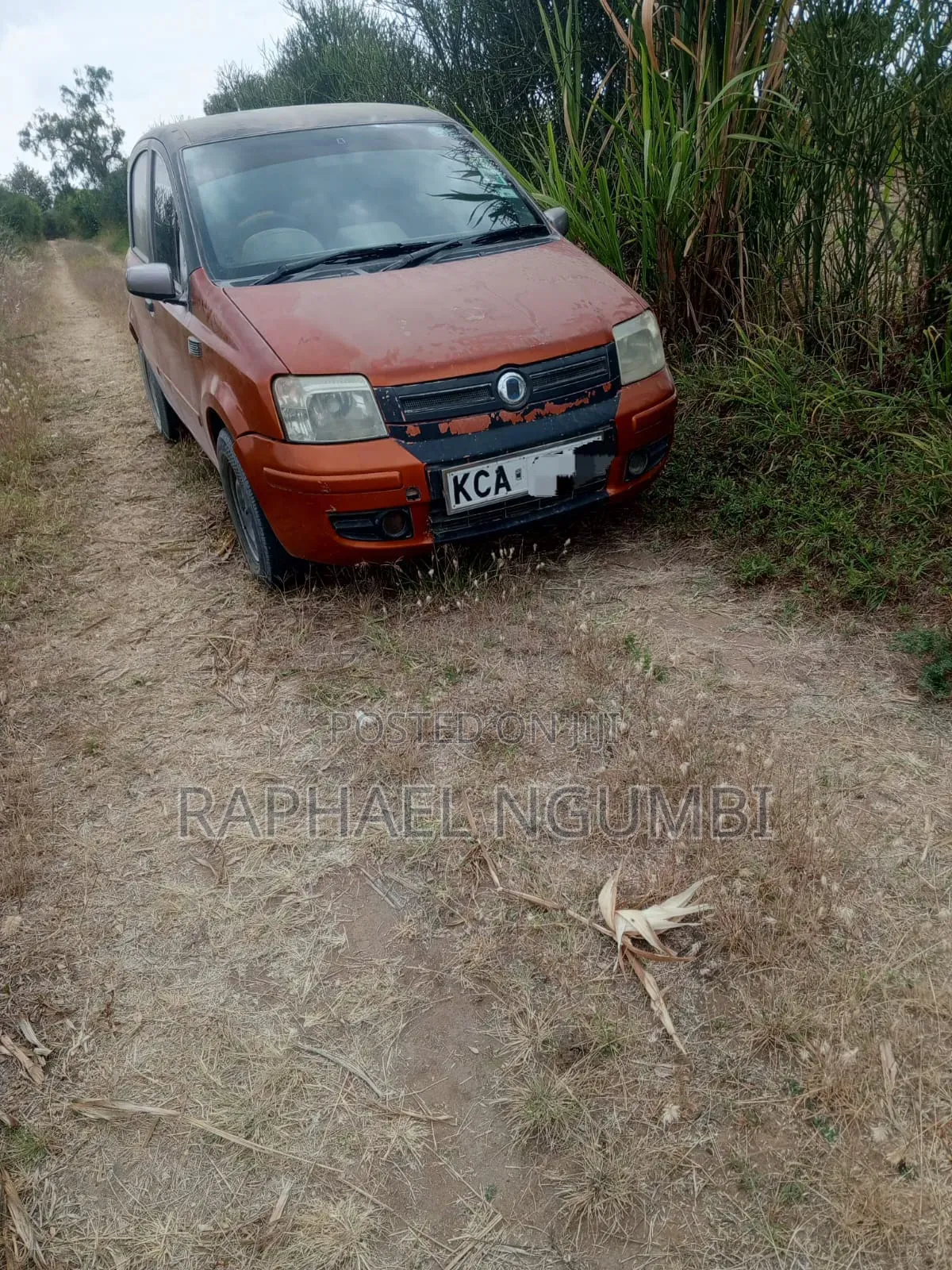 Fiat Panda 2007 Orange