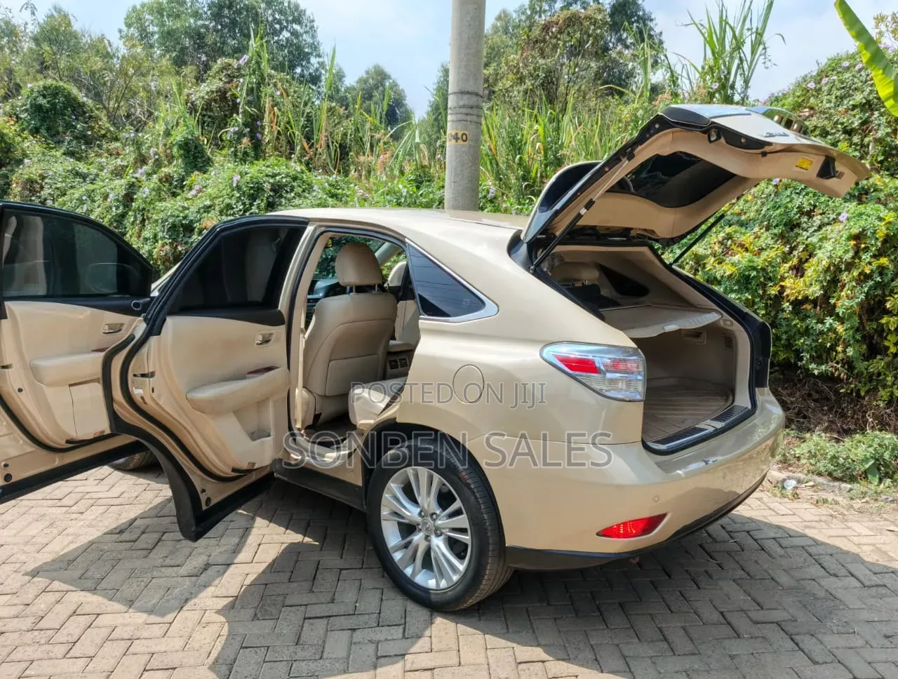 Lexus RX 450h 2010 Gold