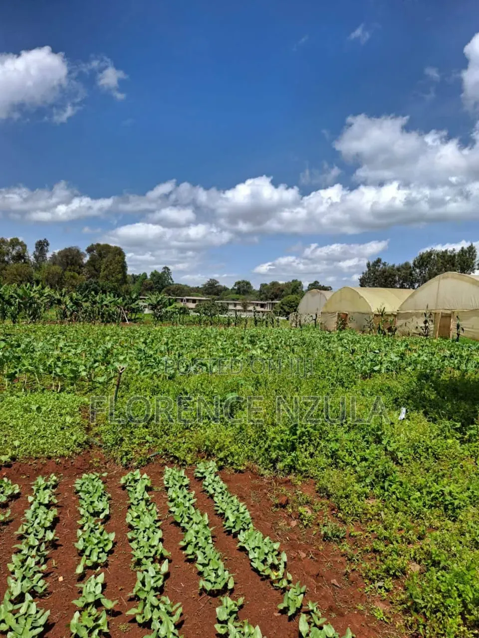 Land for Sale in Karen Windy Ridge