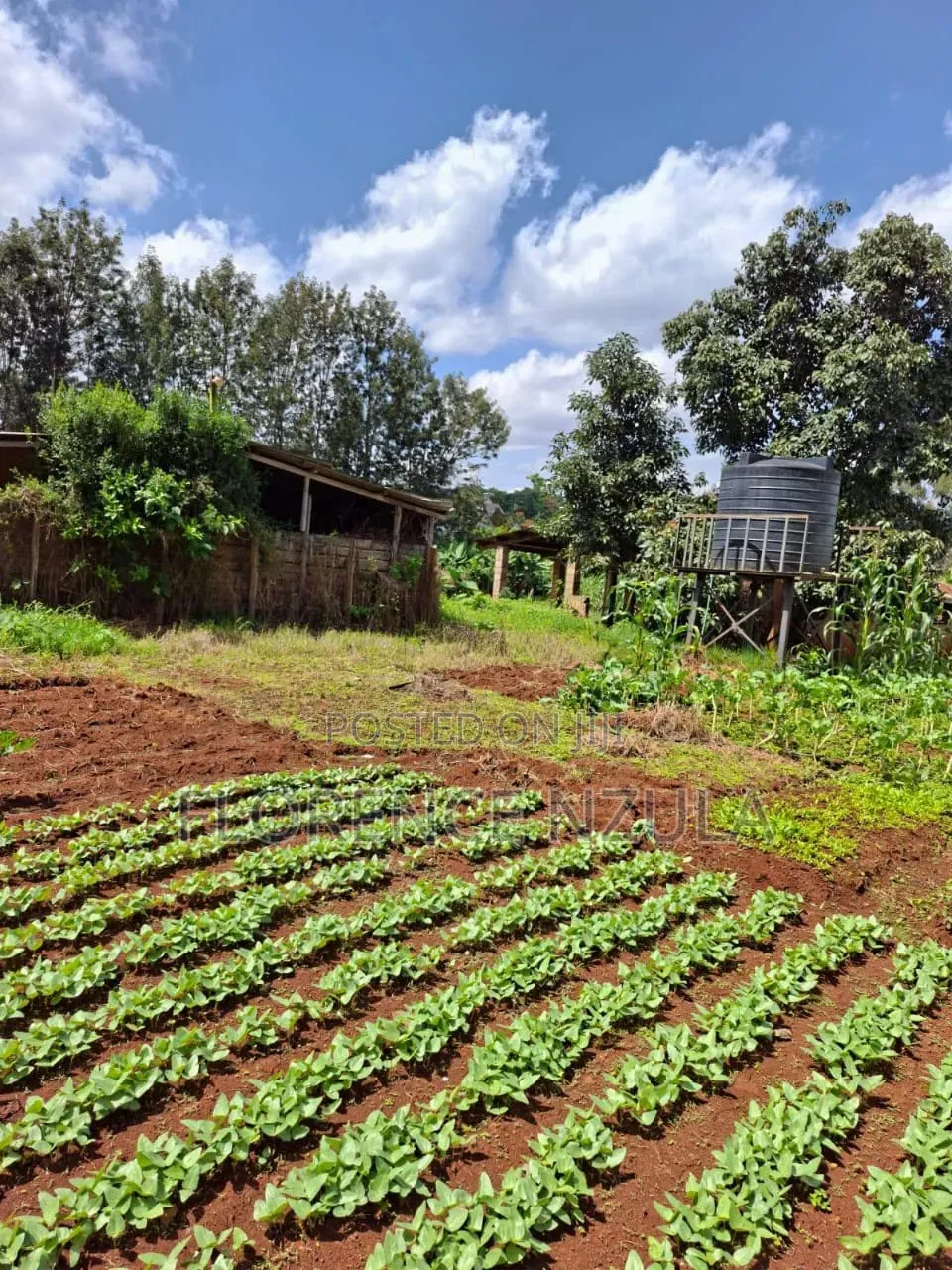 Land for Sale in Karen Windy Ridge