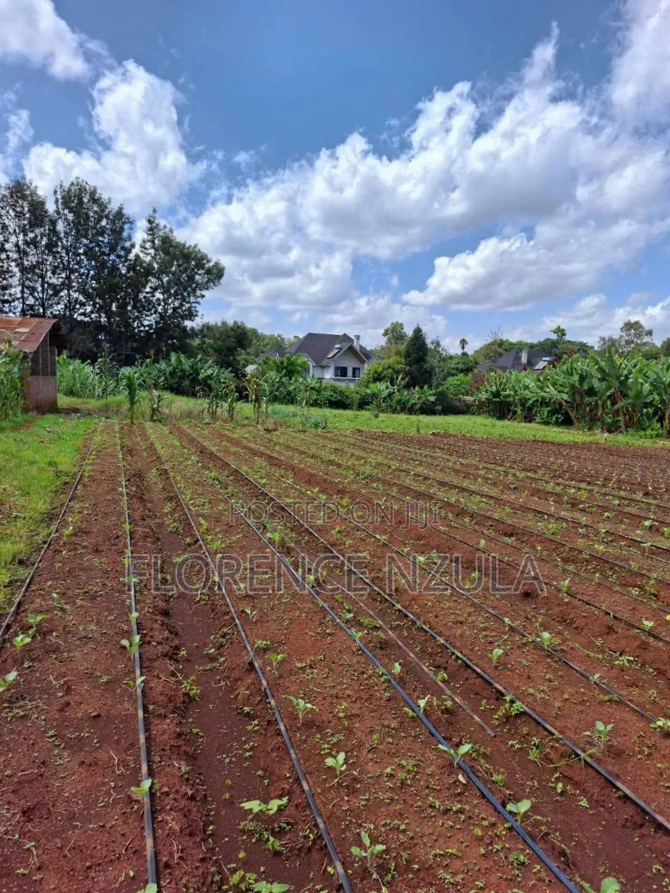 Land for Sale in Karen Windy Ridge