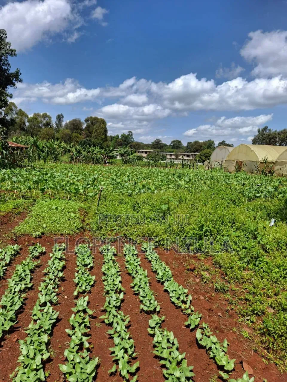 Land for Sale in Karen Windy Ridge