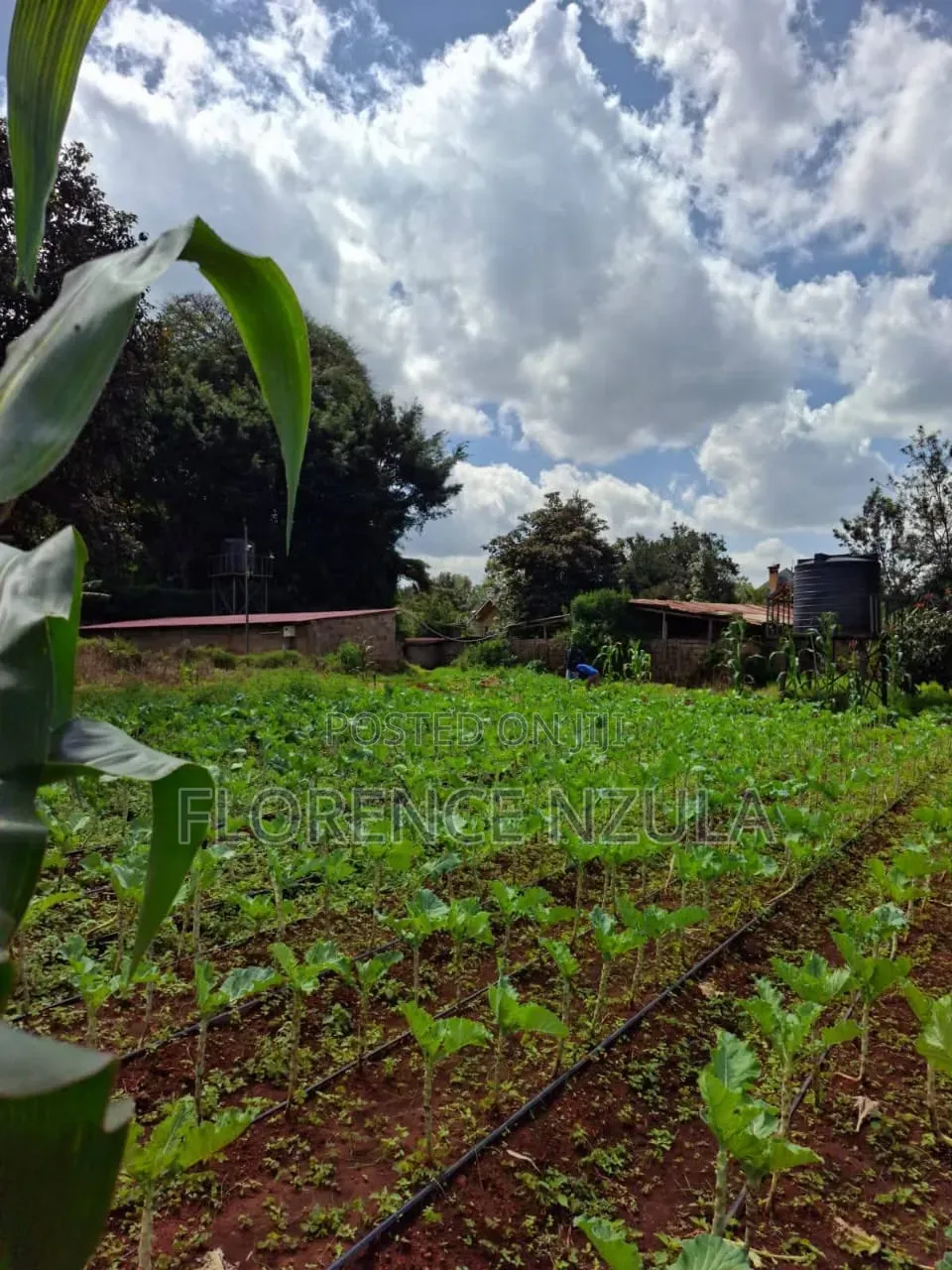 Land for Sale in Karen Windy Ridge