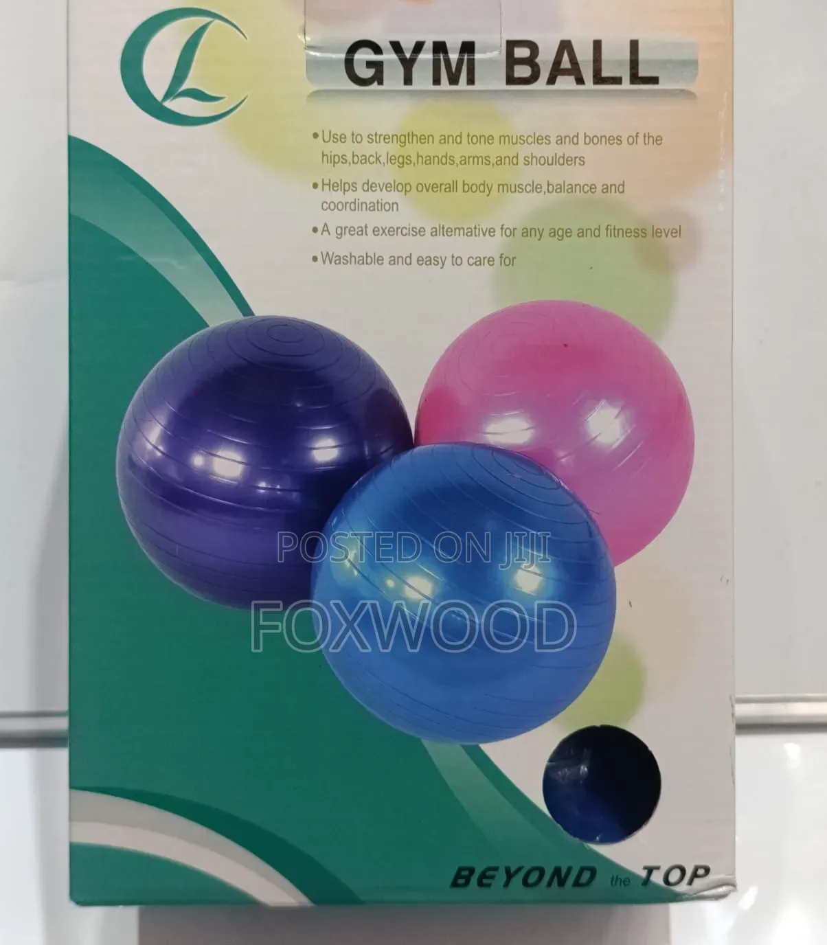 Gym Ball and Manual Pump