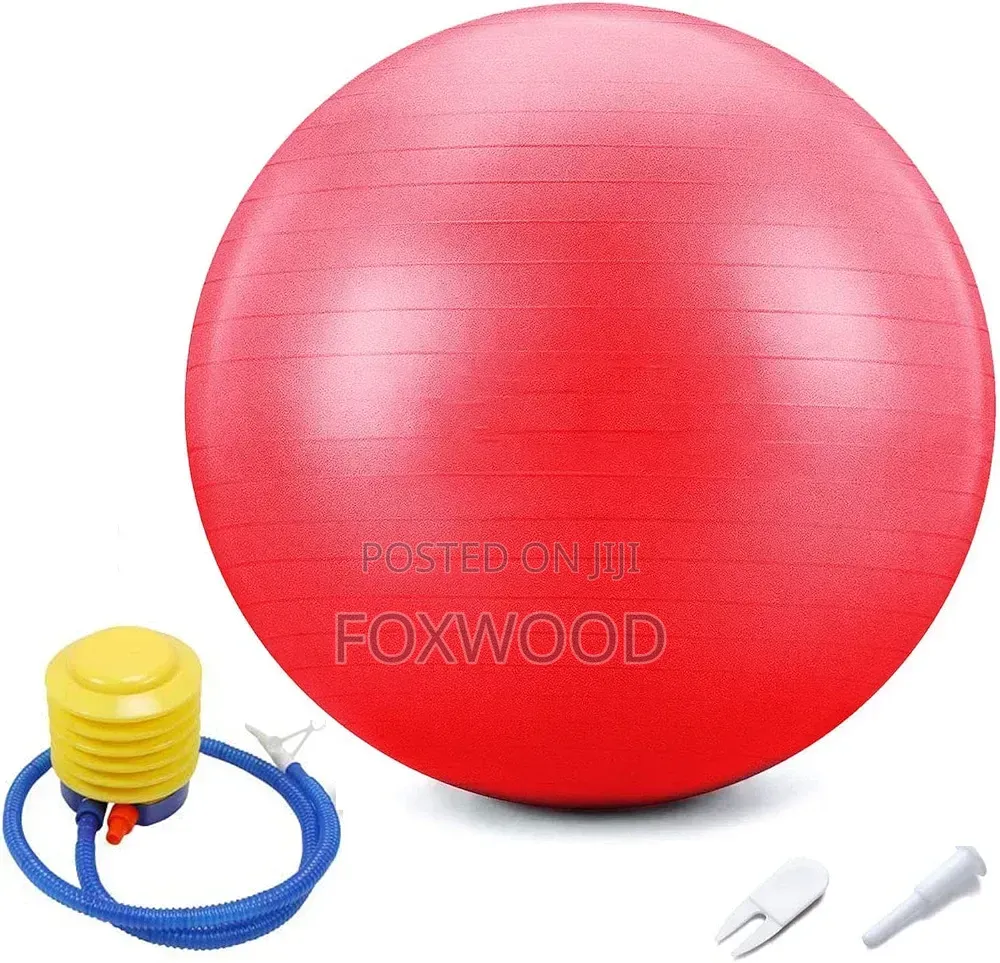 Gym Ball and Manual Pump